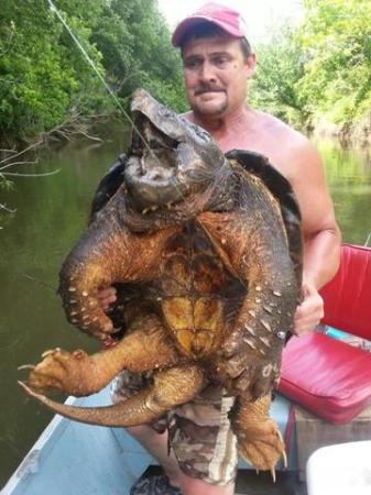 Oklahoma Angler Catches Monster Snapping Turtle on Rod and Reel