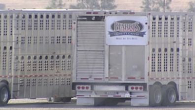 California Animal Rights Activists Destroy 14 Cattle Trucks
