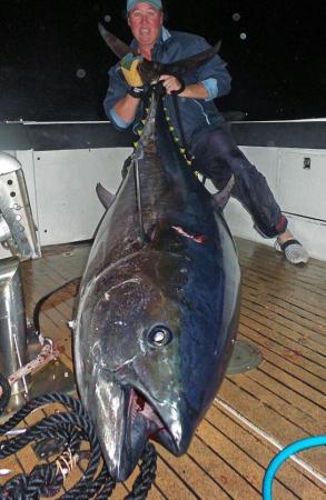Sydney Angler Lands Monster Southern Bluefin Tuna