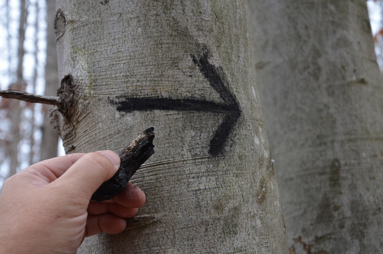 charcoal signals on a tree