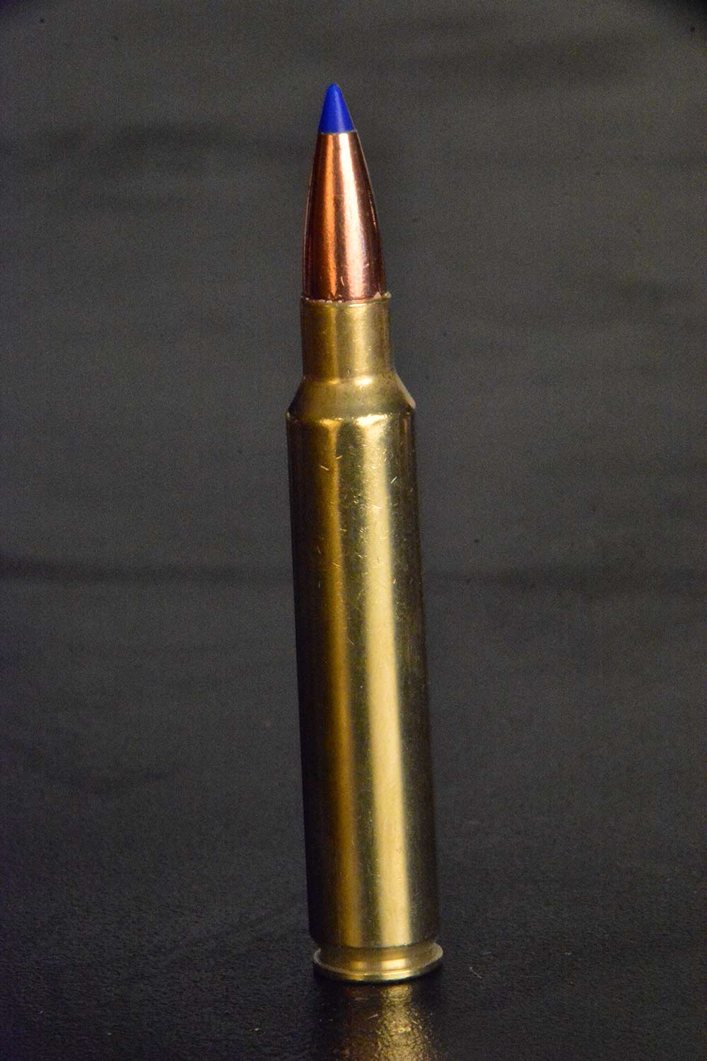 338 remington rifle ammo elk