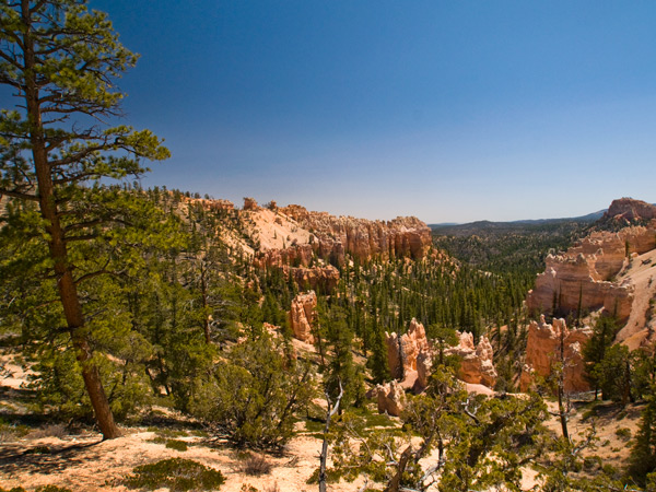 httpswww.outdoorlife.comsitesoutdoorlife.comfilesimport2014importImage2010photo30010BryceCanyon.jpg