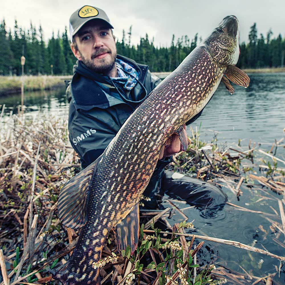 brian bergeson northern pike