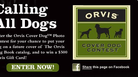 Orvis Cover Dog Contest