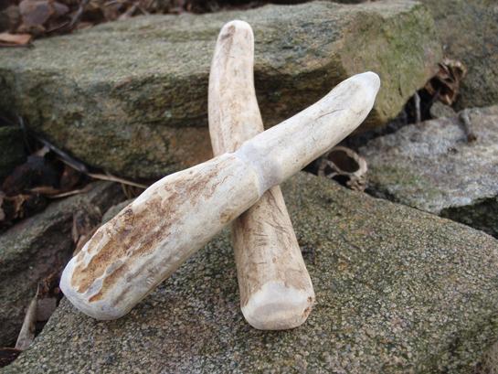 5 Survival Uses For Less-Than-Trophy Antlers