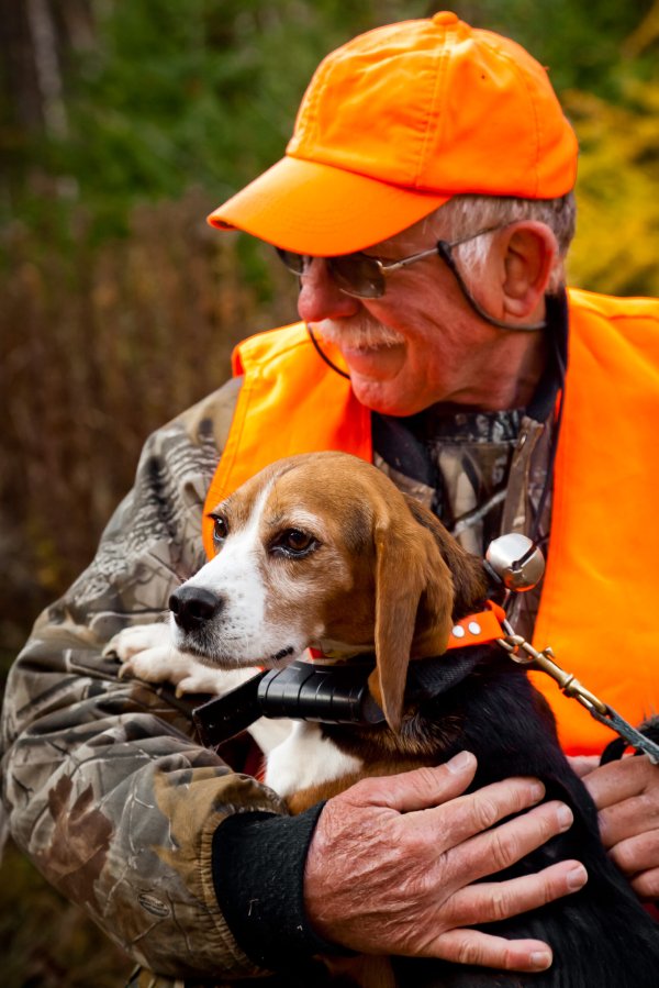 How to Find a Hunting Dog at the Pound