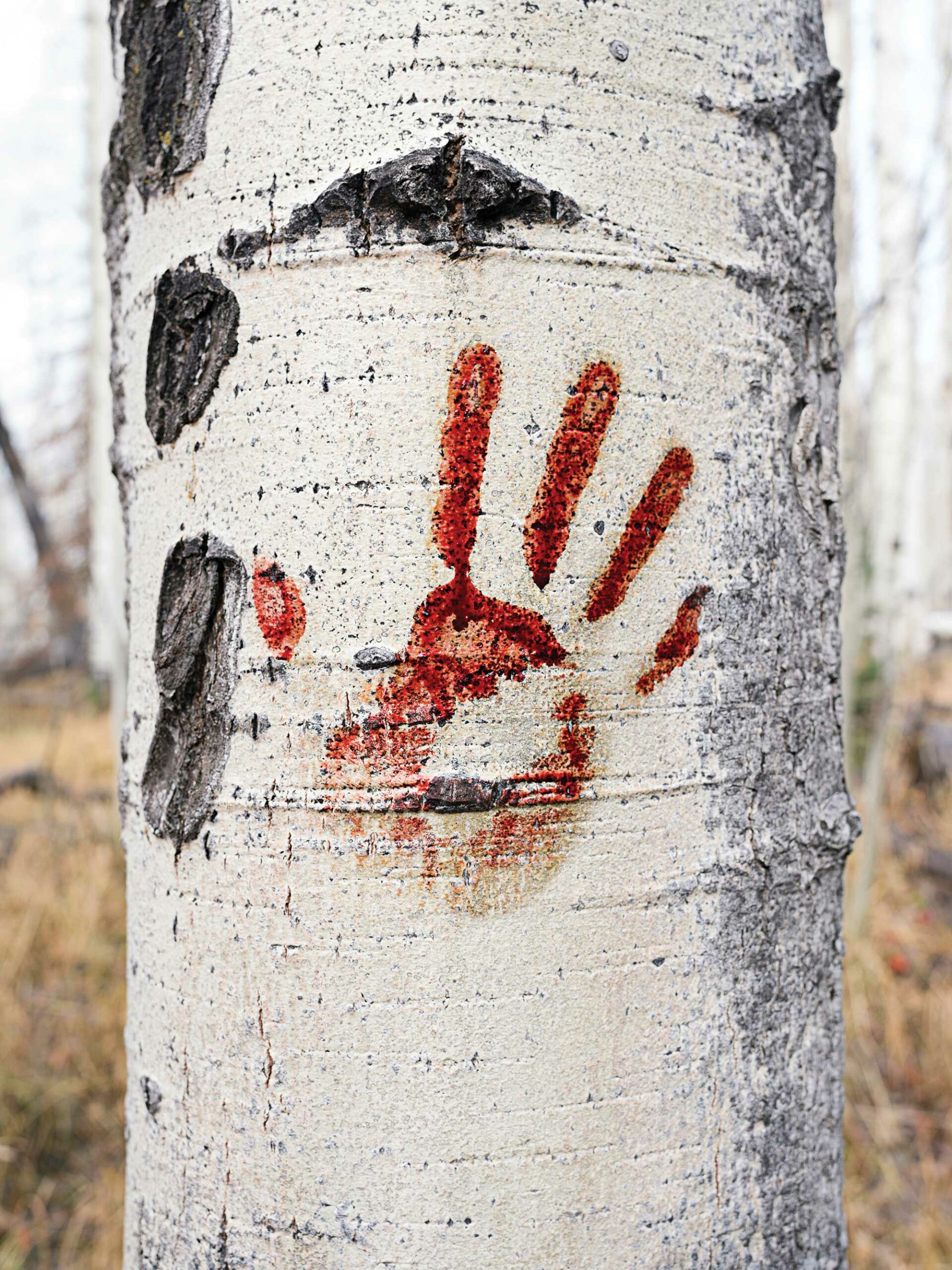 bloody handprint on tree