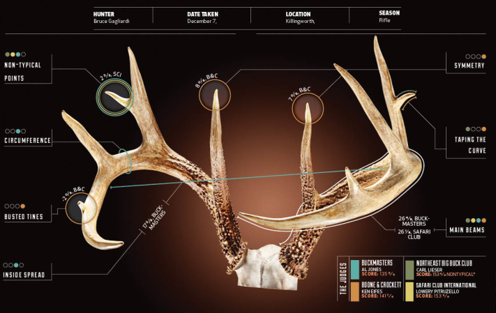 Measuring Antlers: 4 Ways to Score a Deer’s Rack