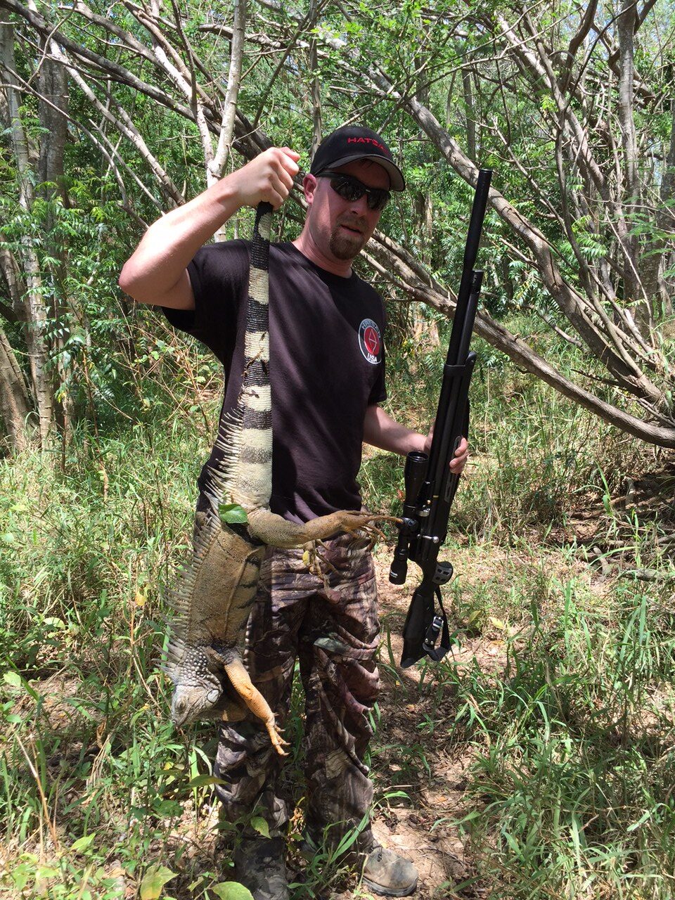 Invasive Iguanas: Hunting Puerto Rico's Giant Lizards