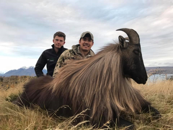 Hunting Public-Land Tahr in New Zealand