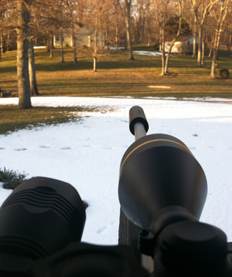Confessions of a Sharpshooter: How a Deer Cull Actually Works