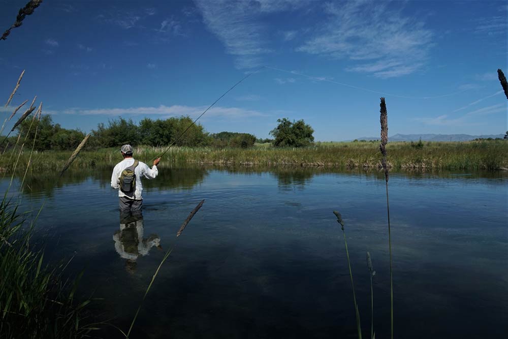 man fishing silver creek preserve