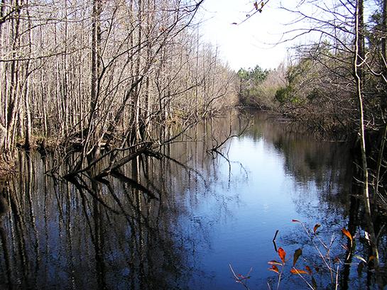 Public Land: Hunting and Fishing in South Carolina
