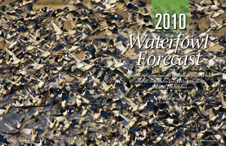 2010: DU Waterfowl Forecast