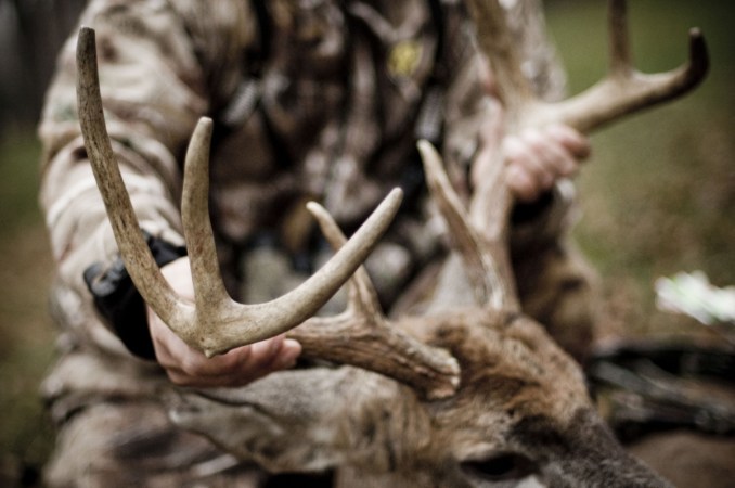 Bowhunting Whitetails: Close Counts