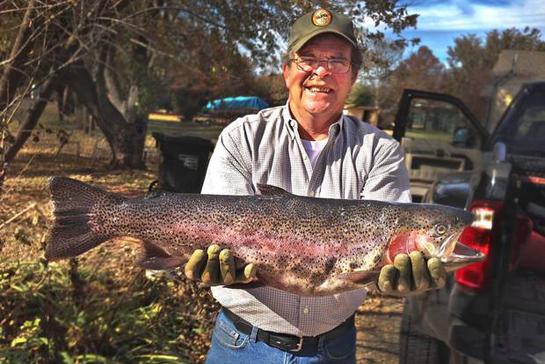 Big Fish Alert: Oklahoma Angler Sets Rainbow Trout State Record