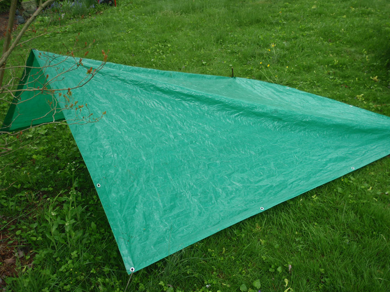 wedge tarp shelter