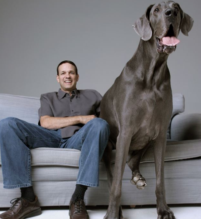 The World’s Tallest Dog and Other Musings