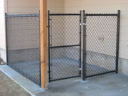 Simple Fixes for a Cleaner and Safer Dog Kennel