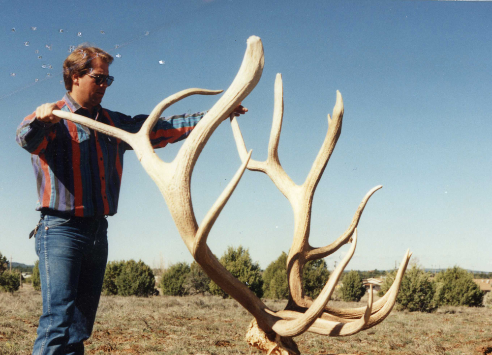 record book typical Arizona elk
