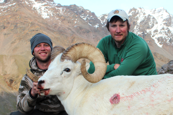 Video from Alaska: A Tough Hunt in Dall Sheep Country