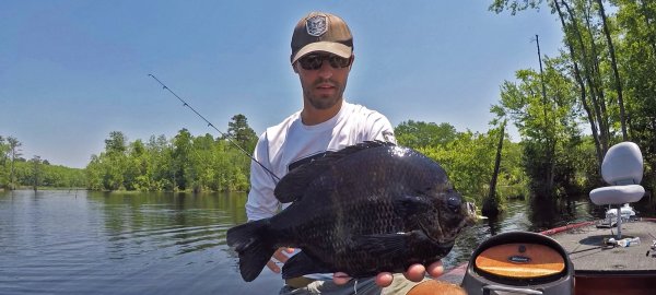 10 Tips for Catching Giant Bluegills This Summer