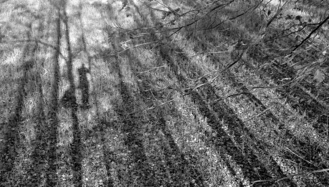 Learn how the moon affects deer movement in your local woods.