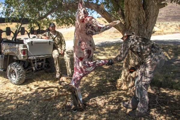 The 7 Golden Rules of Wild Game Care, from Field to Freezer