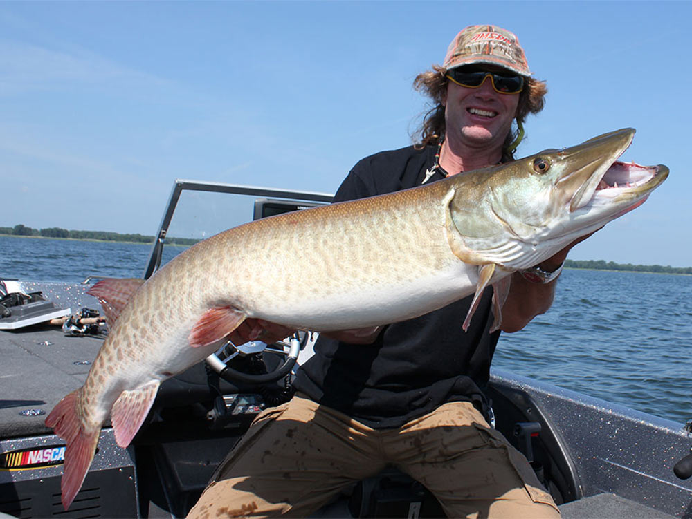 Pretty good size musky we managed to snag from last years fishing