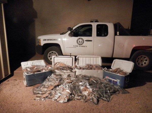 New Mexico Poacher Busted for Having 1,600 Rainbow Trout Over the Limit