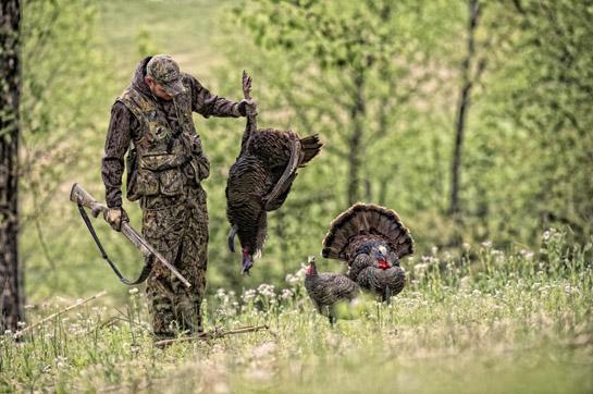 Turkey Hunting Tips: Early-Season Strutter and Jake Decoy Tactics