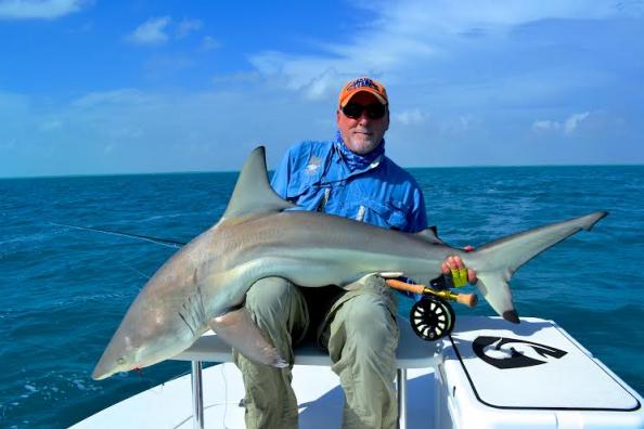 Fly Angler Releases Potential World-Record Blacktip Shark