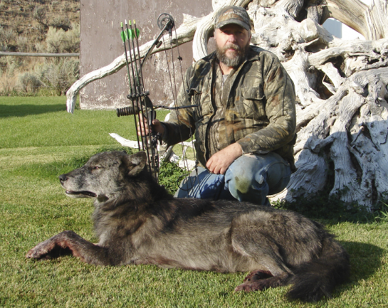 Idaho Elk Hunter Shoots Wolf That Stalked Him