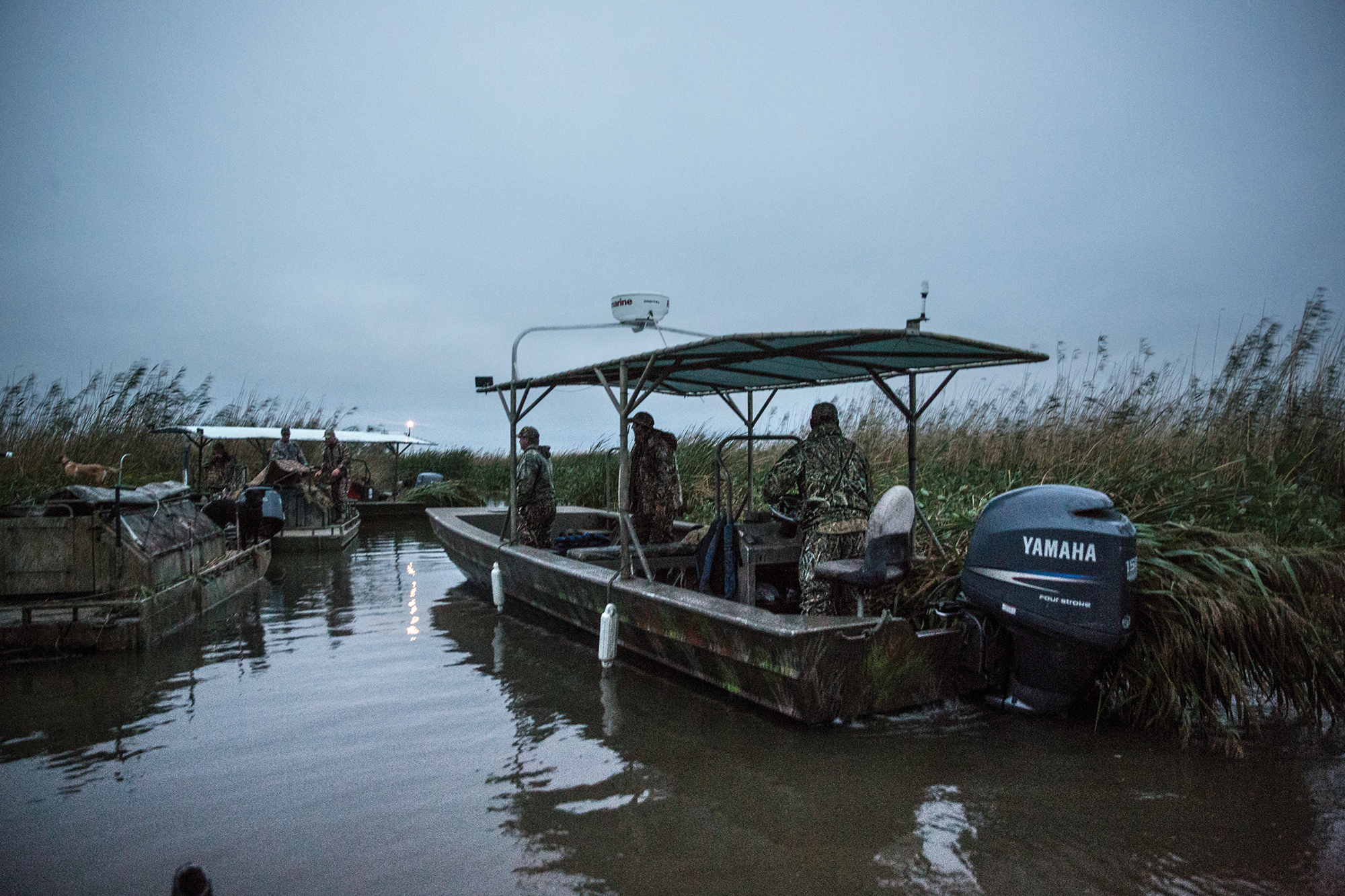Duck Hunting in Louisiana