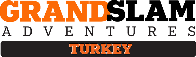 GS_Turkey_Logo