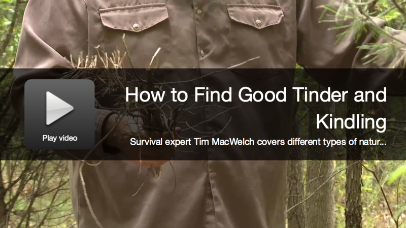 Survival Video: Find Great Tinder And Kindling
