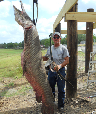 Massive Alligator Gar Shot in Texas Could Have Been a Record