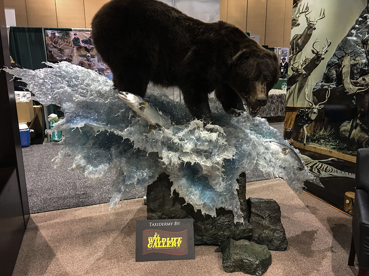 giant brown bear mount