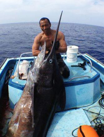 Hawaii Spearfisherman Shoots Record Marlin