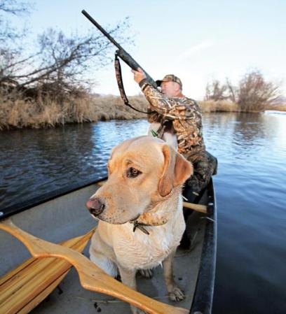 Five Simple Duck Hunting Tips