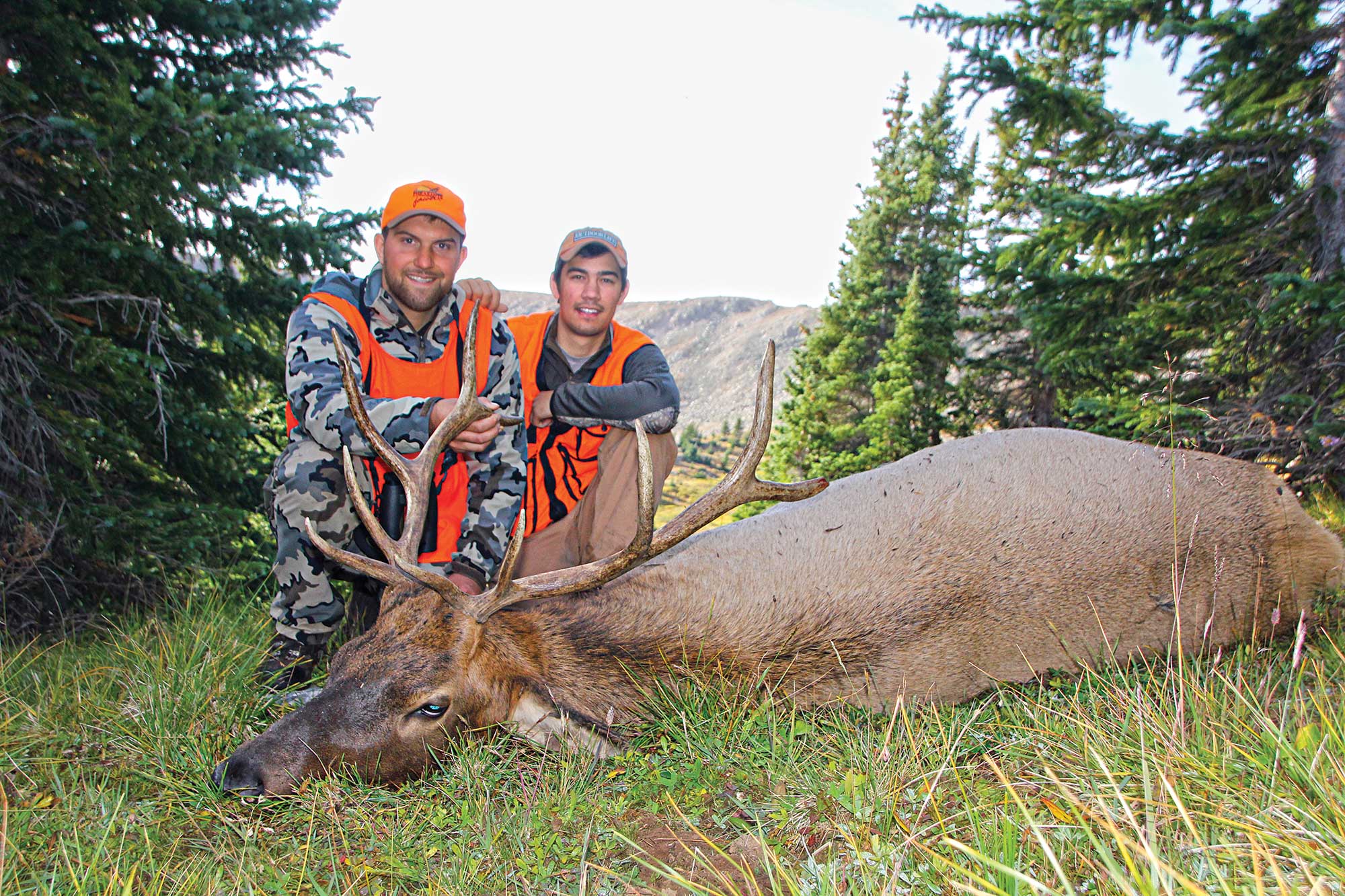 cousins with bull elk