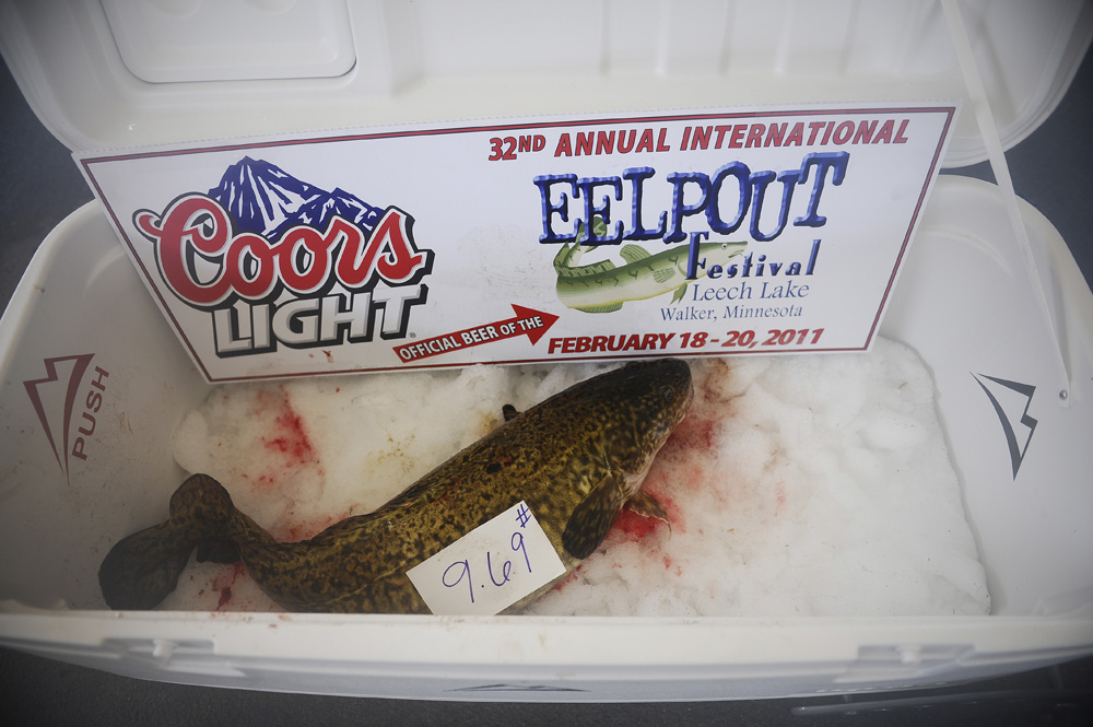 httpswww.outdoorlife.comsitesoutdoorlife.comfilesimport2013images201102Eelpout_2011-0009_0.jpg