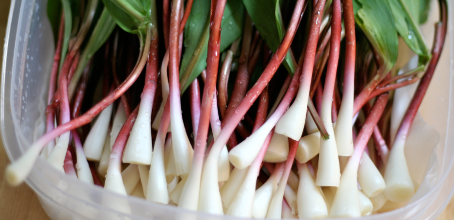 Foraging & Gardening | Page 2 of 3 | Outdoor Life