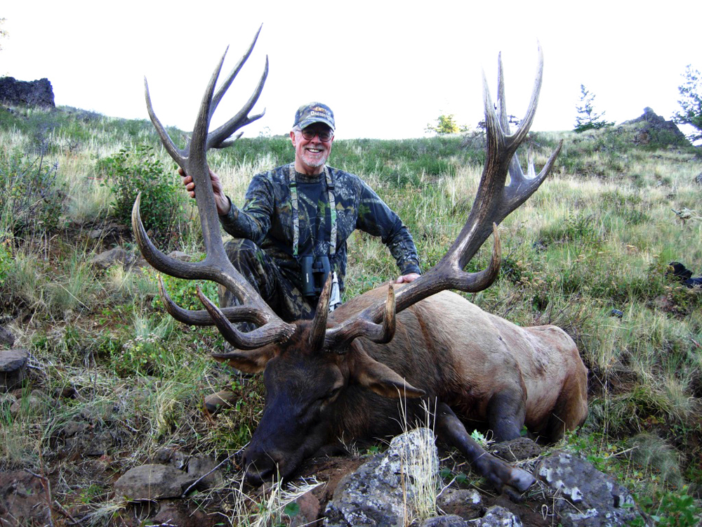 14 nontypical bull elk