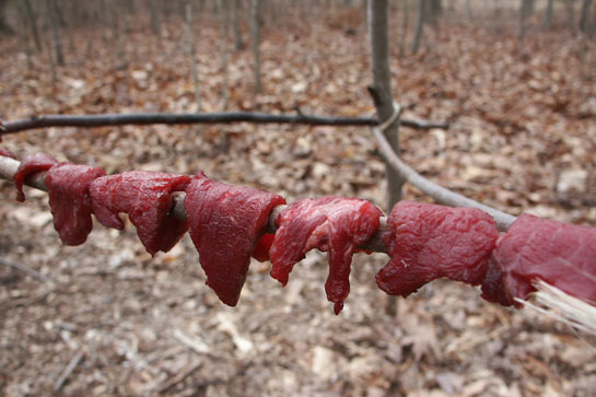 Survival Skills: Smoking Meat and Fish for Flavor and Preservation