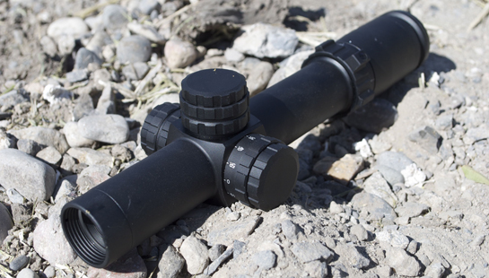 Scope Review: The Weaver Tactical 1-5×24
