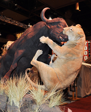 20 Best Taxidermy Photos from the Safari Club International Convention
