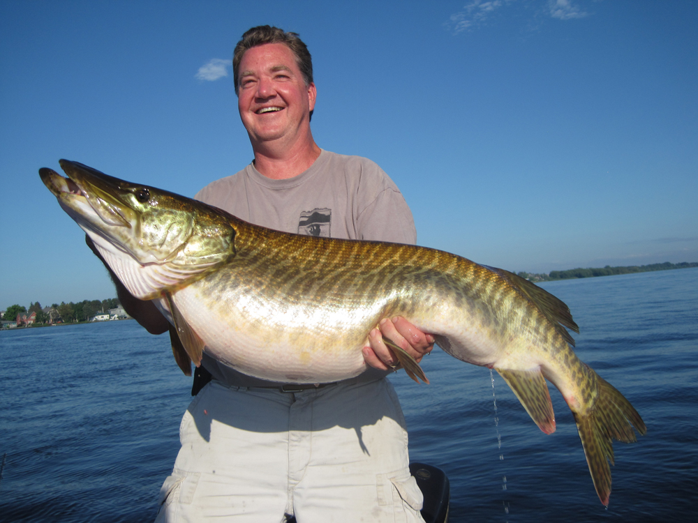 Rare Freak Tiger Muskie Could Have Been a World Record