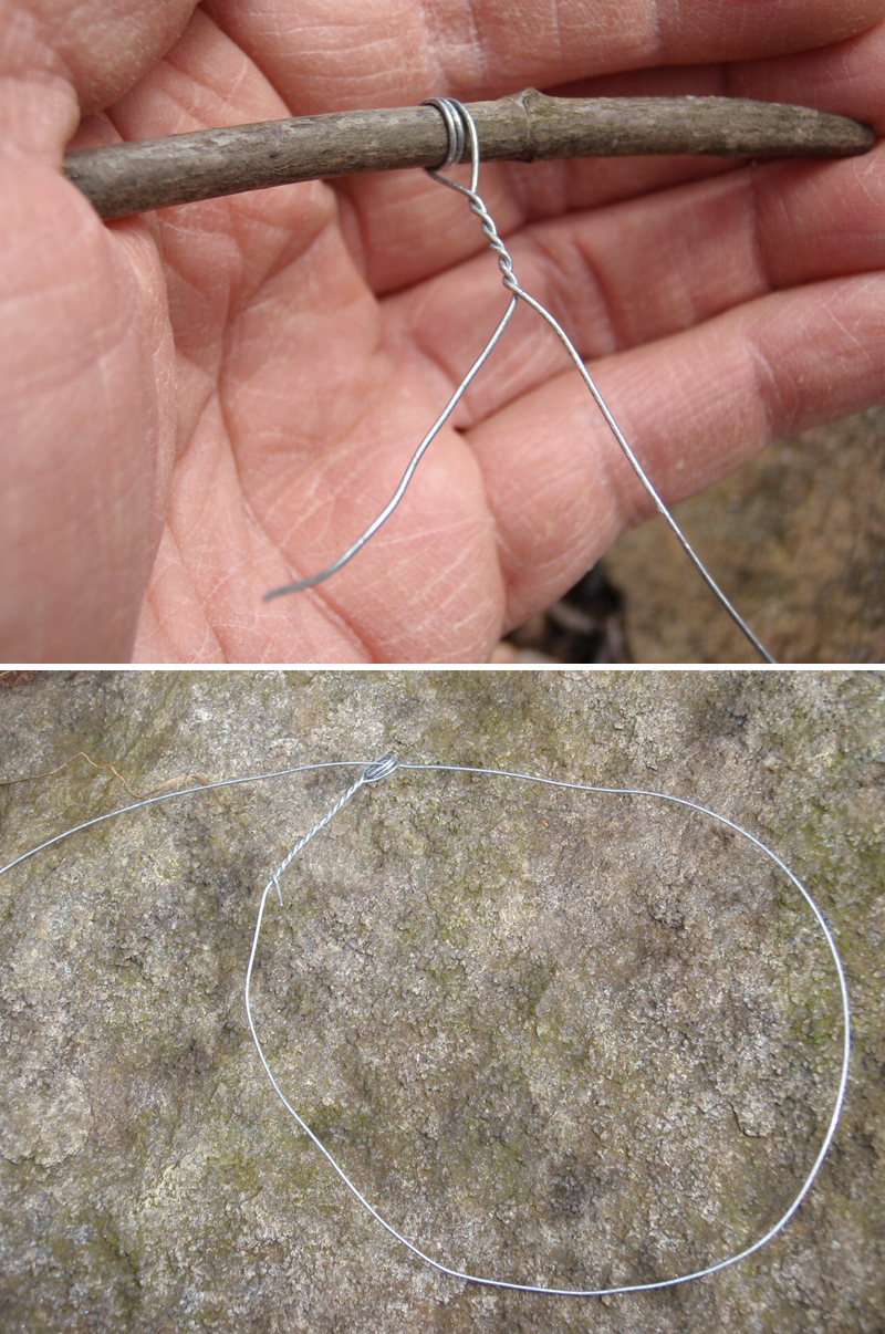 Best Snare Wire Traps for Survival Trapping