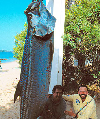 Record Fish Stories: 11 Greatest Catches of All Time